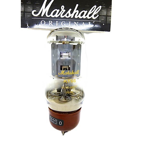 KT66-MARSHALL TAD KT66-MARSHALL TAD